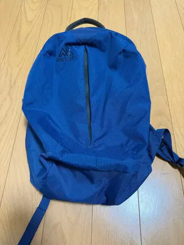 GREGORY 그레고리 백팩 SKETCH15