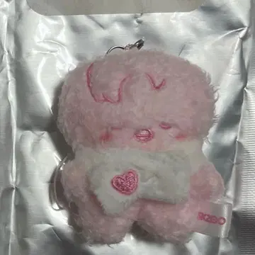 straykids 스키즈 skzoo 팬미팅 마이크로 포가리 팬미팅 딸기