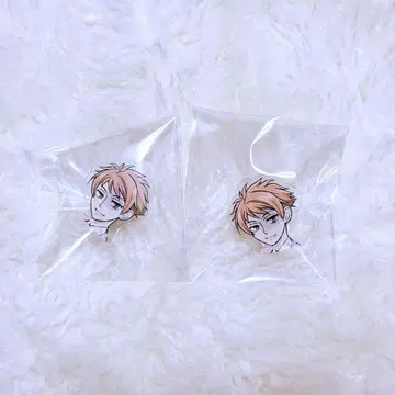 오란고교 호스트부 20주년 아크릴 반지 컬렉션 히타치인 히카루