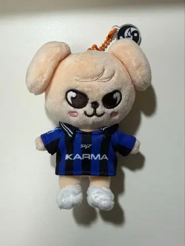 Stray kids karma skzoo ver 파피무