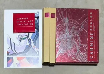 초판 사다모토 요시유키 화집 CARMINE 한정판