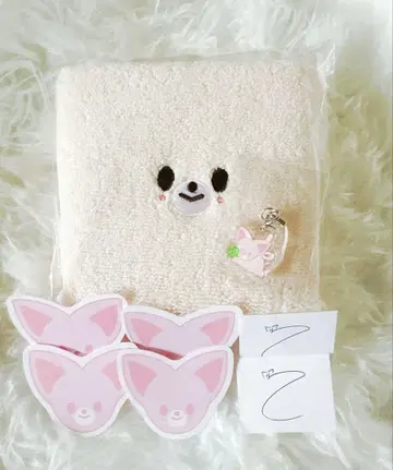 스키즈 팬미팅 입장 특전 아이엔 폭시니