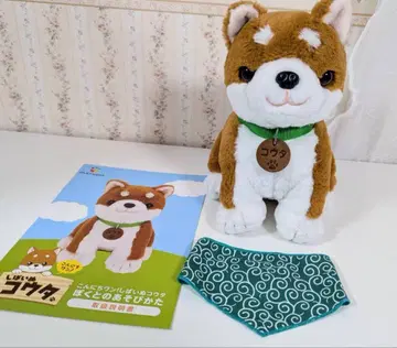 시바견 코우타 거의 미사용입니다 설명서 있습니다