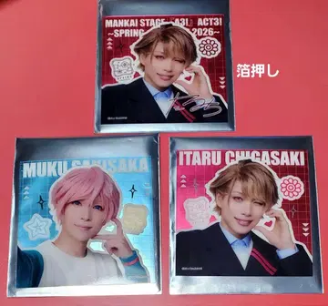 에이스테 이타루 스쿠카 호일