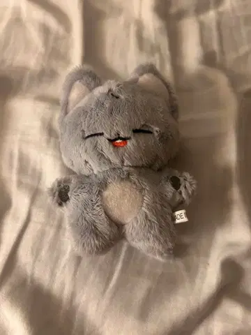 THEBOYZ 주연 주연 Juyeon 봉제 인형