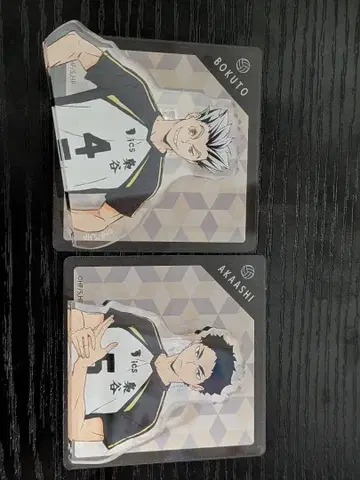 하이큐 아카아시 and 보쿠토 아크릴 클립