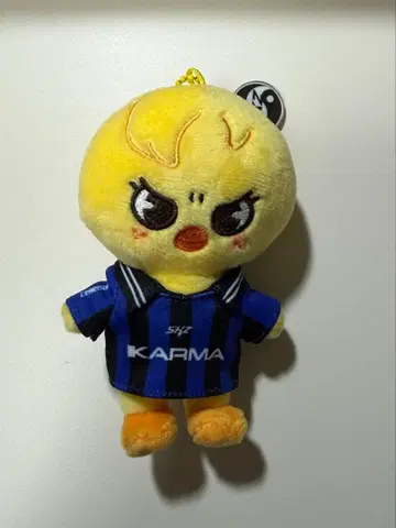 Stray kids karma skzoo ver