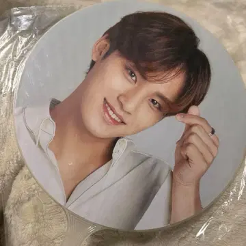 seventeen ideal cut 서울 콘서트 부채 민규