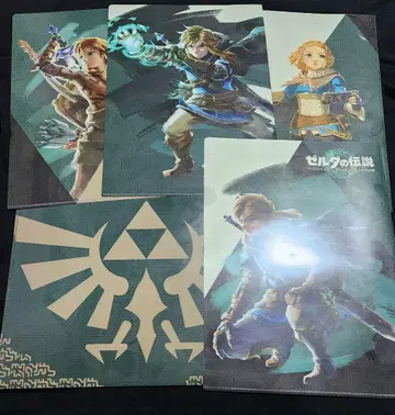 젤다의 전설 티어스 오브 킹덤 클리어 파일 5장 세트