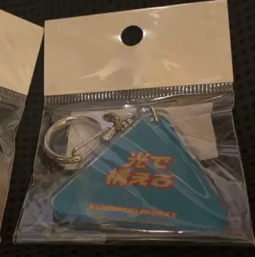 아치코치 오드리 아크릴 키링 와카바야시 마사야스 호시노 겐 빛으로 준비해