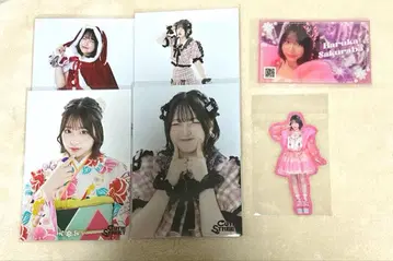 사쿠라바 하루카 세트