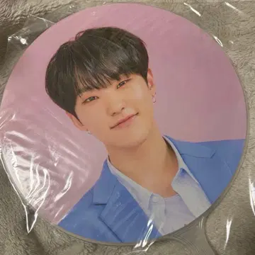 seventeen carat land 부채 호시