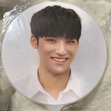 seventeen diamond edge 서울 콘서트 부채 민규