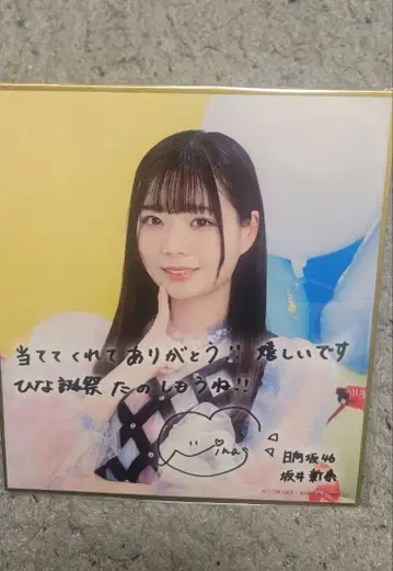 사카이 니이나 미니 색지