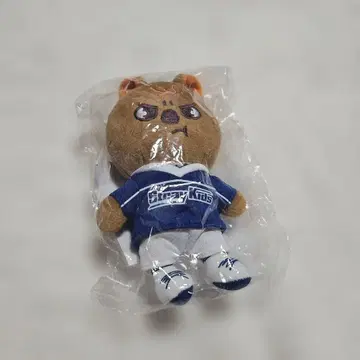 [익명] Stray Kids 스키즈 SKZOO 백참 한쿼카