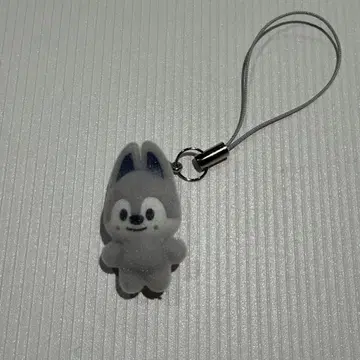 스트레이 키즈 한국 본국 팬미팅 SKZOO 참 방찬