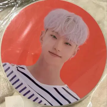 seventeen carat land 부채 호시