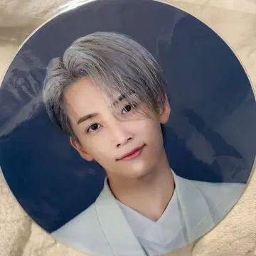 seventeen ode to you 서울 콘서트 부채 정한