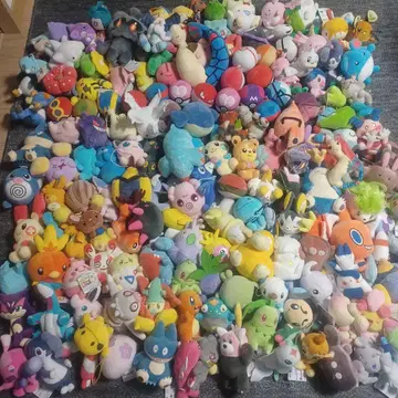 포켓몬 포켓몬스터 봉제 인형 택 포함 닌텐도 일괄