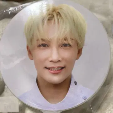 seventeen diamond edge 서울콘 부채 정한