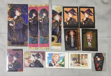 트위스테 케이트 묶음 판매