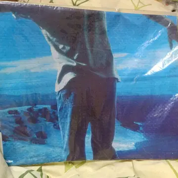 하마다 쇼고 야외 콘서트 굿즈 돗자리