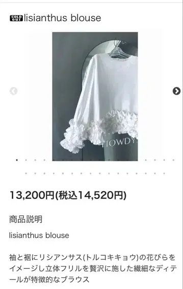 새상품 howdy lisianthus 블라우스 프릴 긴팔 블라우스