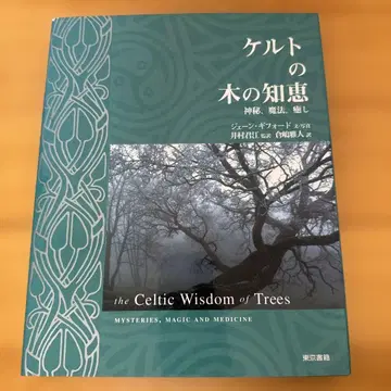 켈트족의 나무 지혜 : 신비, 마법, 치유