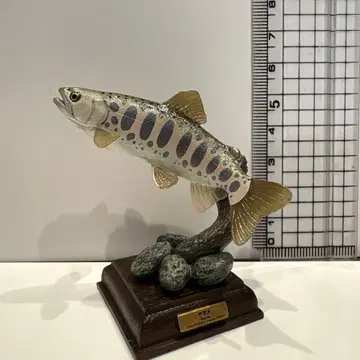 네이처 테크니컬러 일본의 청류 야마메