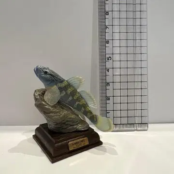 네이처 테크니컬러 일본의 청류 토요시노보리