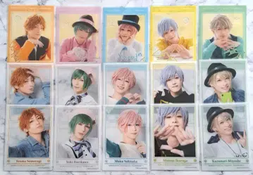 에이스테 폴라로이드풍 클리어 시트 여름조