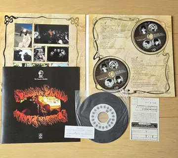 BUDDHA BRAND 병든 무한의 부처의 세계 부처 브랜드 LP 사이즈