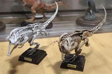 네이처 테크니컬러 고생물 티라노사우루스 2종 세트