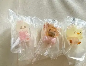 mikko 메지루시 액세서리 3세트 무스 라떼 퍼프