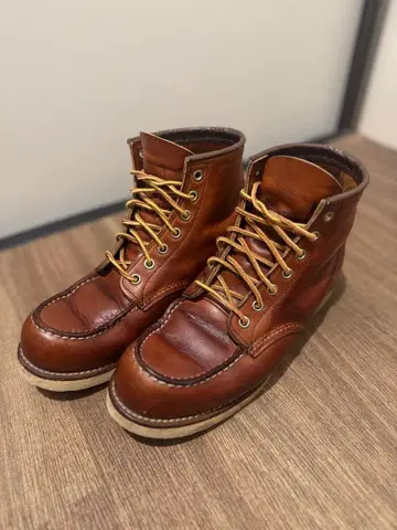 REDWING 아이리쉬 세터 875