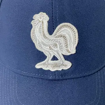 Nike 나이키 캡 프랑스 대표 모자 갈리아의 수탉 네이비 컬러
