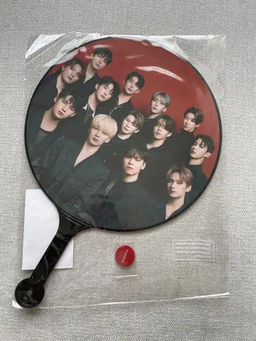 SEVENTEEN POWER OF LOVE 부채 멤버 전원