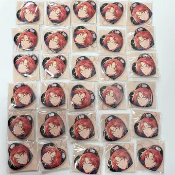 앙스타 츠키나가 레오 중국 TRIP 여정 캔뱃지 30개