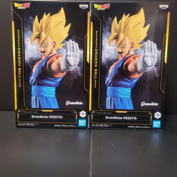 그란디스타 베지트 2체 세트