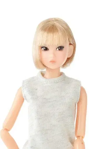 미개봉 새상품 Today's momoko 2304 모모코 펫웍스