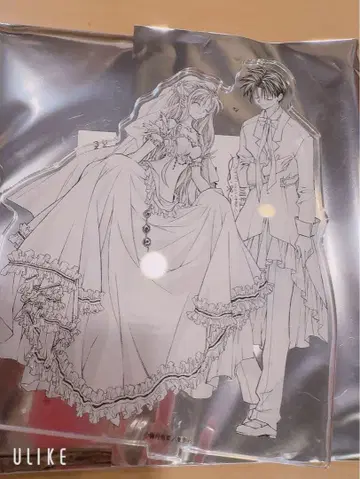 타네무라 아리나 전시회 복권 아크릴 스탠드