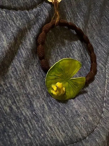 파르나토팍 수련과 개구리 머리끈 개구리 개구리 연잎