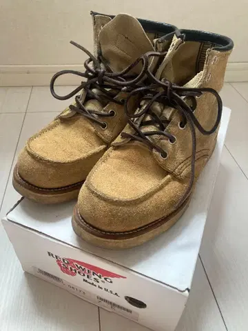 7E 25 레드윙 REDWING 8173