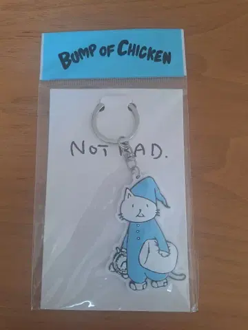 BUMP OF CHICKEN 니콜 키링