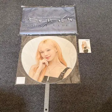 aespa (winter) 2024 LIVE TOUR 굿즈