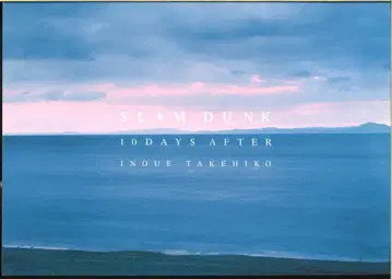 플라워 이노우에 다케히코 슬램덩크 [그로부터 10일 후] 완전판