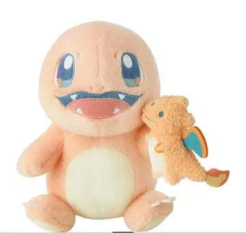 Little Daydream 꼬부기와 리자몽 봉제 인형