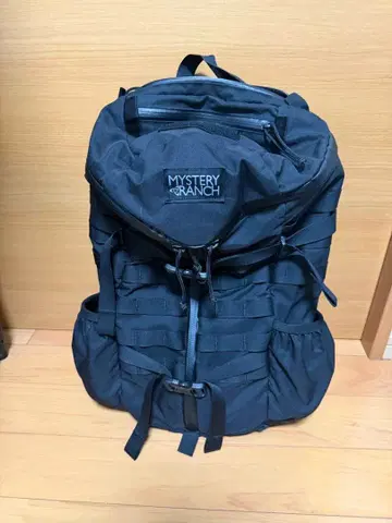 MYSTERY RANCH 2DAY ASSAULT