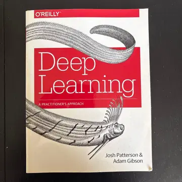 Deep Learning - Patterson & Gibson