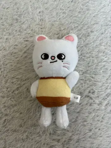 StrayKids 지니렛 푸딩 백참